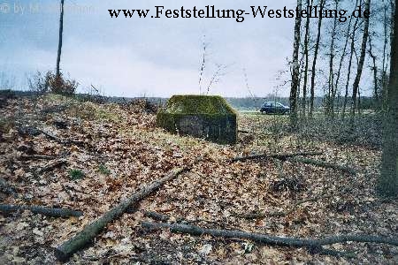 Maas-Rur-Steilhang-Elmpter-Wald-Stellung